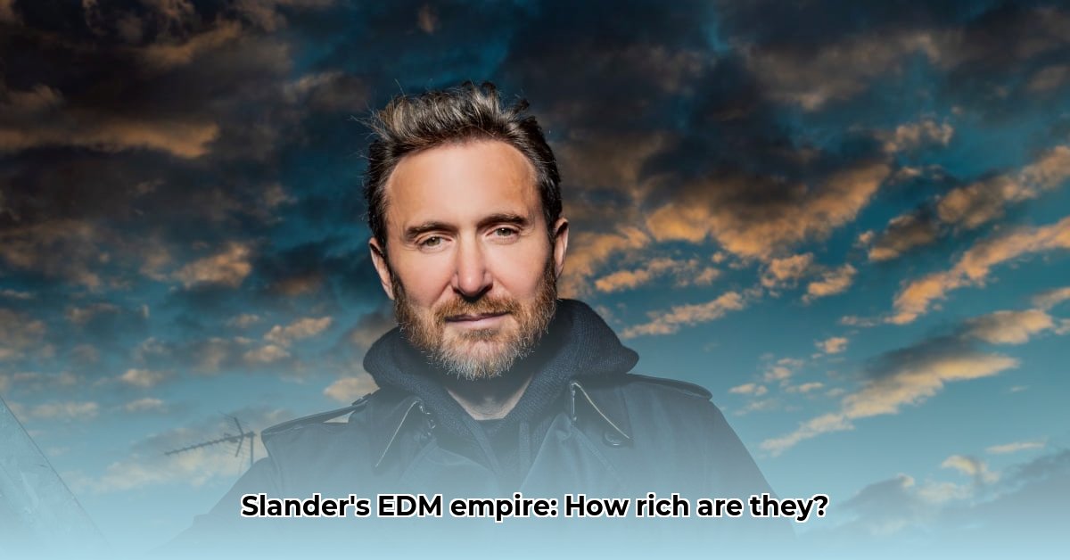 slander-net-worth